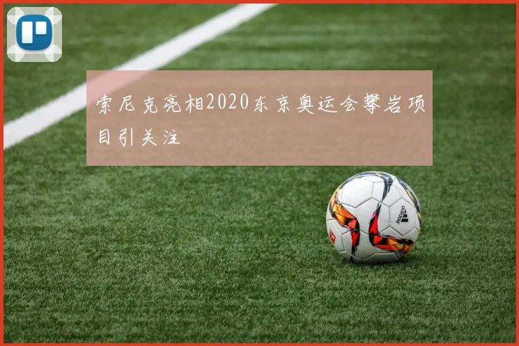 索尼克亮相2020东京奥运会攀岩项目引关注